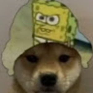 Meet your Posher, Timothy